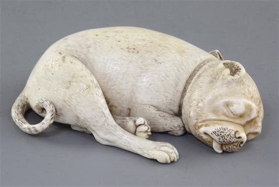 An early 19th century Dieppe carved ivory model of a sleeping Pug dog, 4.5in.